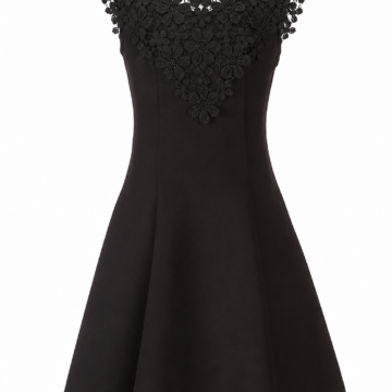 Black Sleeveless Lace Yoke A-Line Dress