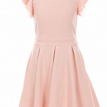 Light Pink Fit-and-Flare Dress with Beaded Flutter Sleeves